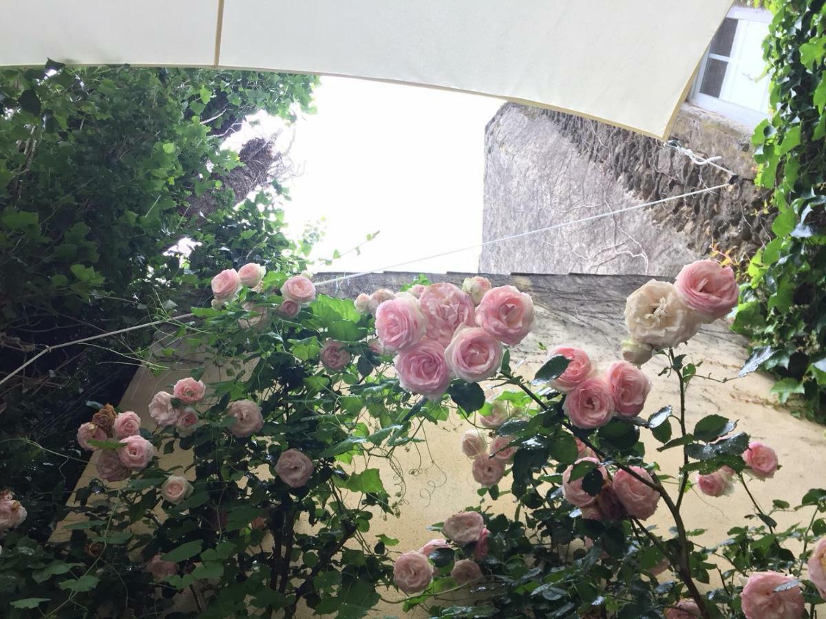 Les Aiguieres En Provence Bed and Breakfast Suze-la-Rousse Εξωτερικό φωτογραφία